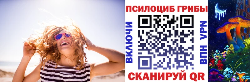 хочу Унеча Галлюциногенные грибы Psilocybine cubensis